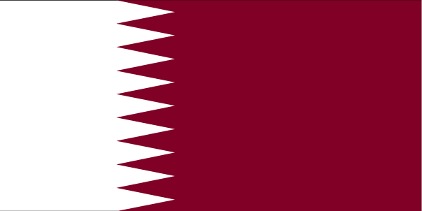 parcels packages delivery Qatar